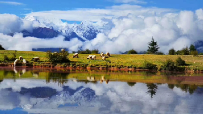 ‌“中国新农民”系列之‖边玛永宗：95后女孩带火藏乡山村