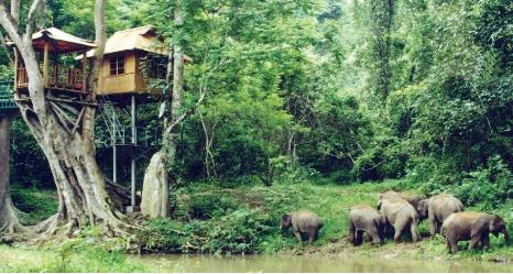 ‌中国“新农民”系列之‖二爬：集体经济让贺开古茶焕发新春