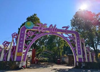 ‌“嵩花”添彩丨年宵花不断档 30万盆春花已在路上