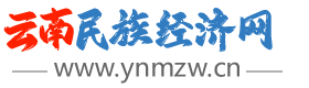 云南民族经济网